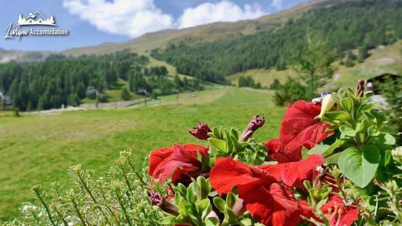 Baita Epi Cusini By Livigno Accomodation ภายนอก รูปภาพ
